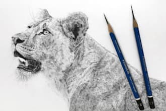 draw realistic pencil sketch portrait from a photo