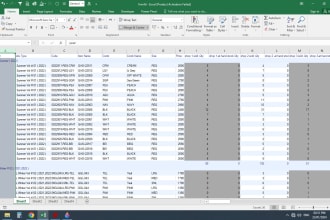 clean the data, data filter, remove duplicate, vlookup , arrange data