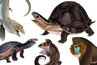 draw cute and  artistic animal  illustration