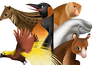 draw cute and  artistic animal  illustration