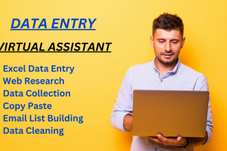 do web research, lead generation, excel data entry,  virtual assistant
