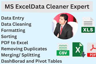 data cleaning, data analysis, data entry, and data visualization on ms excel