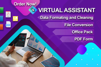 file conversion, pdf form, data entry and formating