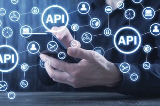 develop web API for you in dot net