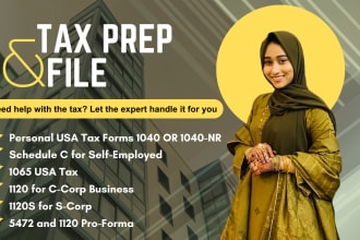 prepare and efile USA tax returns for personal and corporate