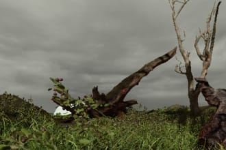 3d model and help make your game in roblox