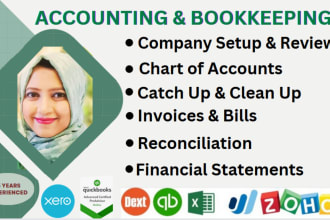 be your bookkeeper in quickbooks online xero wave and excel to reconcile report