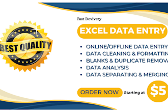do data entry, clean, organize, merge and format excel data