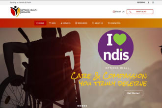 develop responsive custom ndis service website by wordpress, ndis website update