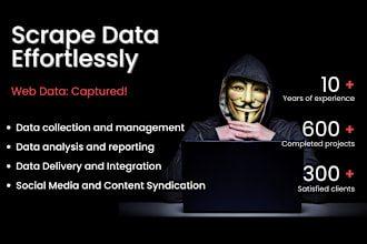 professional python web scraping and data extraction service
