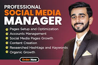 be your social media manager for instagram linkedin twitter facebook management