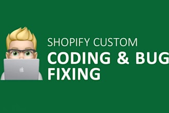 fix any kind of bugs in shopify