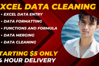 be your professional data cleaner and analyst
