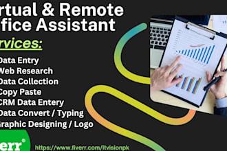 wordpress websites maintenance, data entry and web research and graphic design