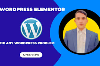 do figma to elementor, wordpress problems, and elementor expert