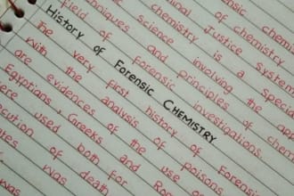 gracefully handwrite any documents, study notes in my beautiful handwriting
