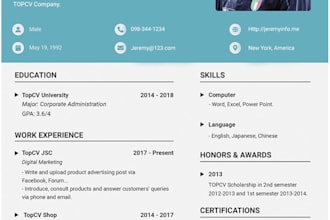 professional write CV and resume writing