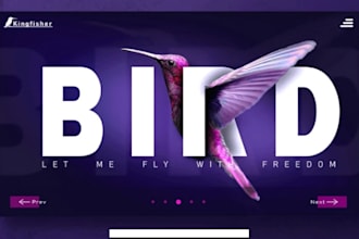 3d webflow website, webflow website design and webflow design