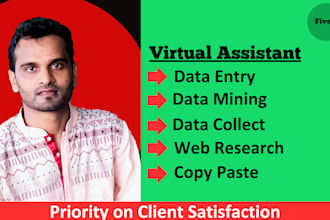 virtual assistant and web scraping expert