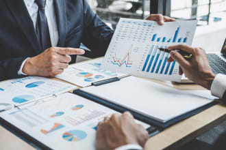 do financial analysis, trend analysis, and valuation