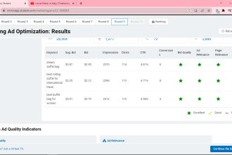 tutor bsg, globus, marketplace, and stratsim simulations