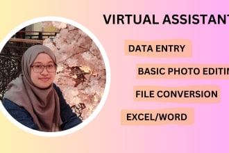 be your personal virtual assistant like data entry and file conversion