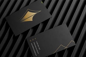 design a creative logo ,branding kit and brand identity