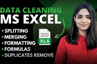 do excel data cleaning, formatting, formulas, data split