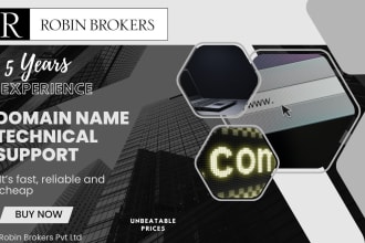 provide technical support for your domain and dns
