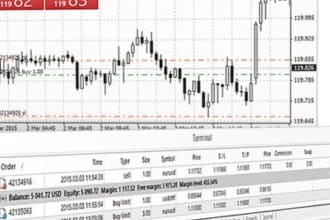 program mt4 mt5 forex expert advisor using mql4 mql5