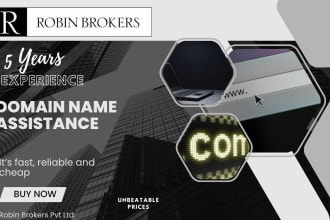 assists you in domain name setup and transfer