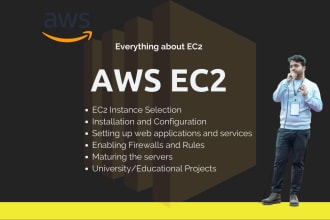 provide expert amazon ec2 setup and optimization