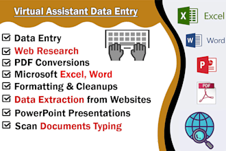 do data entry excel, word, database editing
