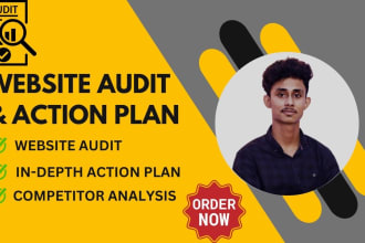do website audit reports and in depth action plan