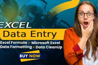 do excel data entry, data merge, data formatting, data mining and cleanup