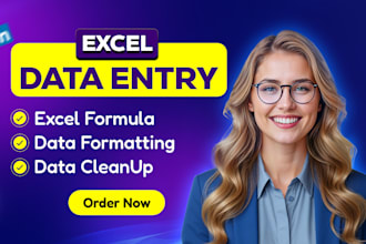 do excel data entry, data merge, data formatting, data mining and cleanup
