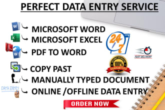 do PDF to word and excel, data entry, typing, copy paste