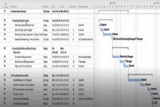 provide project support using microsoft project and  p6