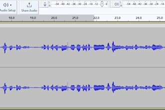 do any voice over, or voice acting work, deep voice