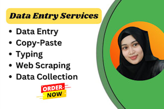 be your fast and flawless data entry assistance