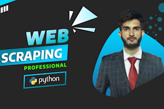 do professional python web scraping and data mining services