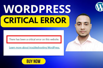 fix wordpress critical errors, fatal errors, and other website issues