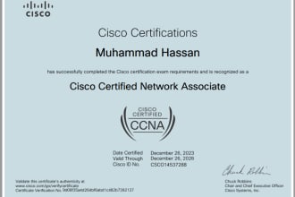 do packet tracer , ccna , ccnp and networking lab for you