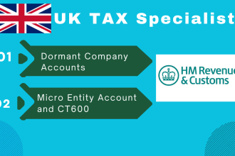 file UK dormant, UK company accounts, corporation tax ct600