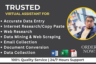 do data entry, web scrap, email, b2b lead, wordpress job