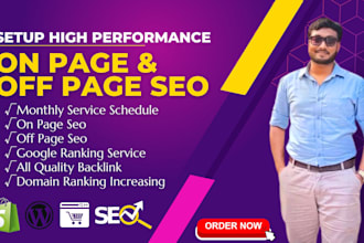 optimize website SEO on wordpress, shopify, wix for google rankings service