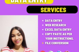 your virtual assistant for data entry