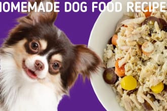 deliver 130 healthy dog food recipes