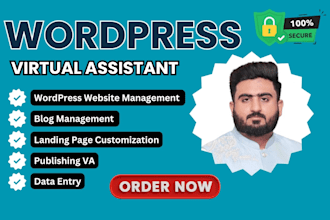 be your wordpress virtual assistant to take all your burden