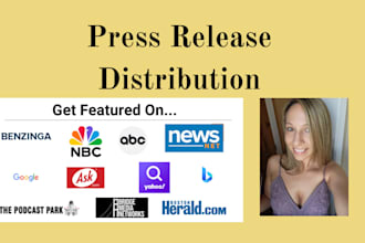 provide SEO press release distribution